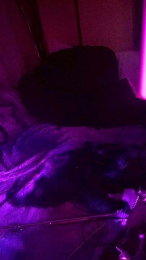 physicssexpert webcam cam4 model stream image