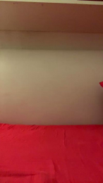 Iavorovschi_31 webcam model stream image