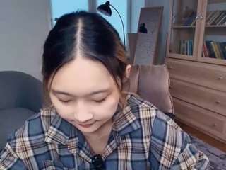 fidelabirkline webcam model stream image