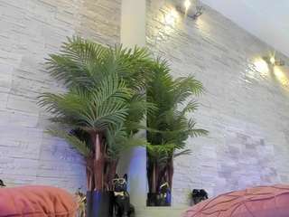 angelinsinn webcam model stream image