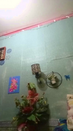 FIONASPICEX webcam model stream image