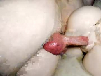 insert_token_icum webcam model stream image