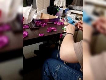 BrandyFoxes webcam model stream image