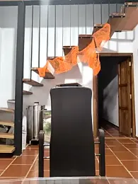 Hiroshi_Shen webcam model stream image