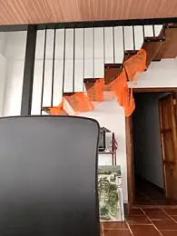 Hiroshi_Shen webcam model stream image