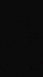 xxxLeilaxxx webcam model stream image