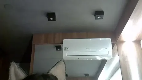 SkinnyKitten webcam stripchat model stream image