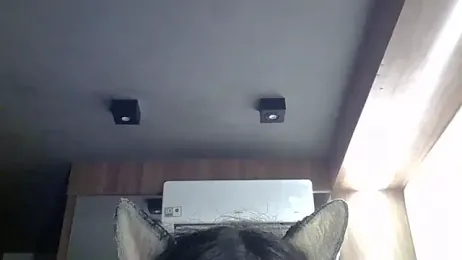 SkinnyKitten webcam model stream image