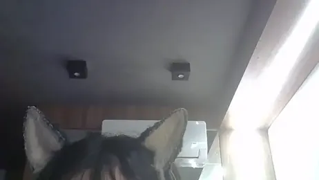 SkinnyKitten webcam model stream image