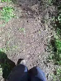 FreezingTie850 webcam stripchat model stream image