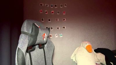 CorlissLauffer webcam model stream image