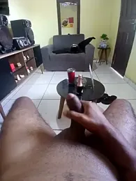 SunlitAsphalt webcam model stream image