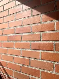 star_anastasia webcam model stream image