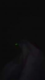 Cazzu1999 webcam model stream image