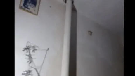 BebaFoxx webcam model stream image