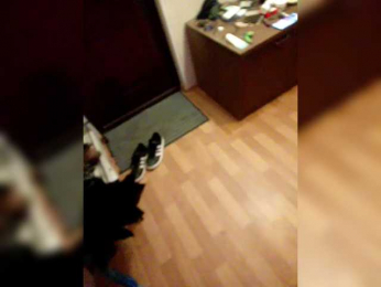 Laylay13 webcam model stream image