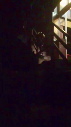 Dnbelladona webcam model stream image