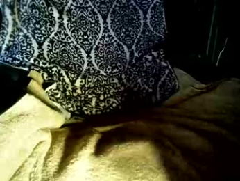 pax23s webcam model stream image