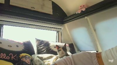 MartesBratty webcam model stream image