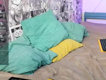 allert_ webcam model stream image