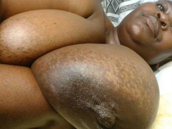 titi-fiesta webcam model stream image