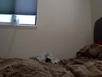 buddylovex webcam model stream image