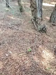 i_fatme webcam model stream image