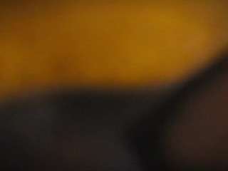 damiendarla webcam model stream image