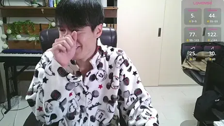 IroManager webcam model stream image