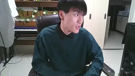 IroManager webcam model stream image