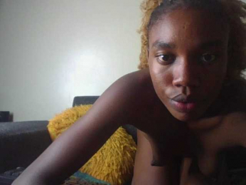 BBQ-Fluid webcam model stream image