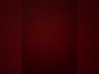 baevaars webcam model stream image