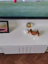 LeoMaduroSP webcam model stream image