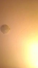 noicoppia71 webcam model stream image
