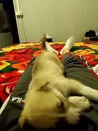 arenn1997 webcam model stream image