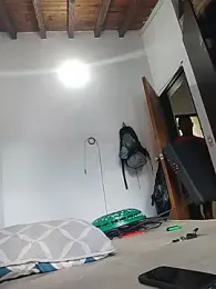 InsituFull webcam model stream image