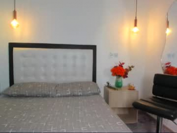 abellaconnor webcam model stream image