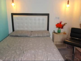 abellaconnor webcam model stream image