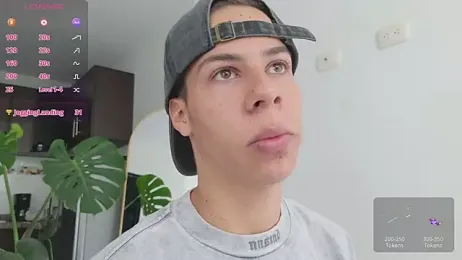 grey___27 webcam model stream image