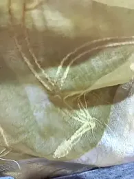 Village_aunty12 webcam model stream image