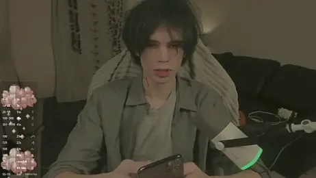 Wampeyes webcam model stream image