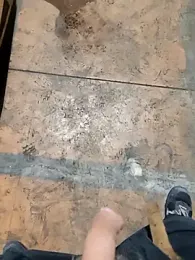 TAMI61 webcam model stream image