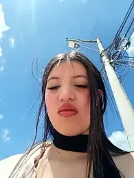 SALOME-28_ webcam model stream image