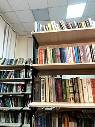 BallerinaCappuccino_ webcam model stream image