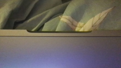 Stellanfaz webcam model stream image