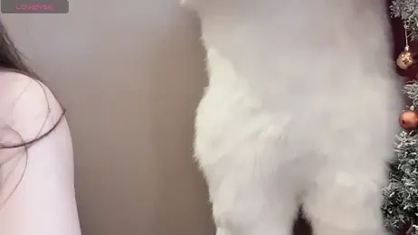 qqqq0808 webcam model stream image