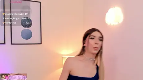 ariivega webcam model stream image