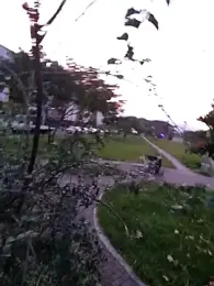 luisa16xxx webcam model stream image