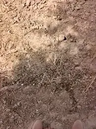 xmanrawan2 webcam model stream image