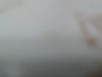 junk_yard_dog webcam model stream image